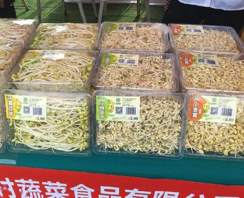 我市多項(xiàng)民生與經(jīng)濟(jì)動(dòng)態(tài)更新 養(yǎng)老金上調(diào)、道路施工與科技對(duì)接活動(dòng)齊推進(jìn)