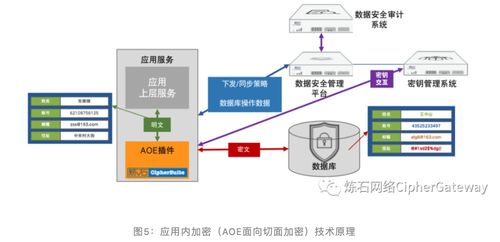 一文讀懂十大數據存儲加密技術及數據處理和存儲服務